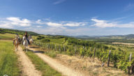 Le-Sud-Bourgogne_-Cluny-Horse-Valley-_-Cortambert-@Etienne-Ramousse-Images