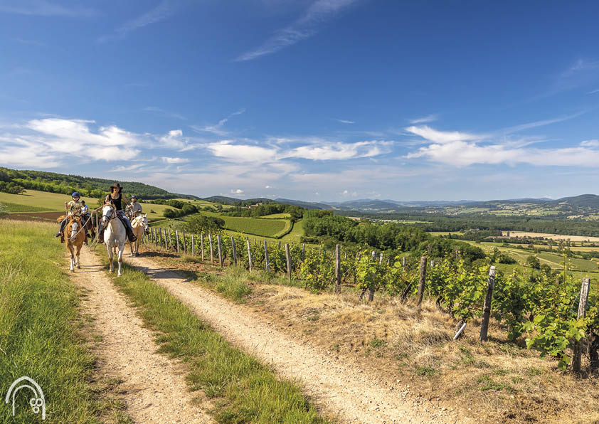 Le-Sud-Bourgogne_-Cluny-Horse-Valley-_-Cortambert-@Etienne-Ramousse-Images